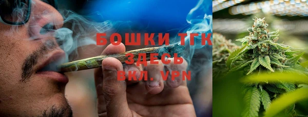 Альфа ПВП Верея