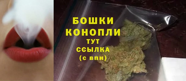Альфа ПВП Верея
