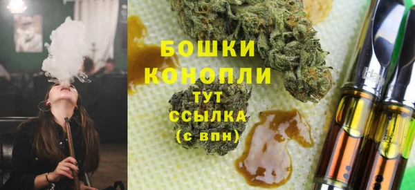 Альфа ПВП Верея