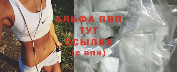 Альфа ПВП Верея