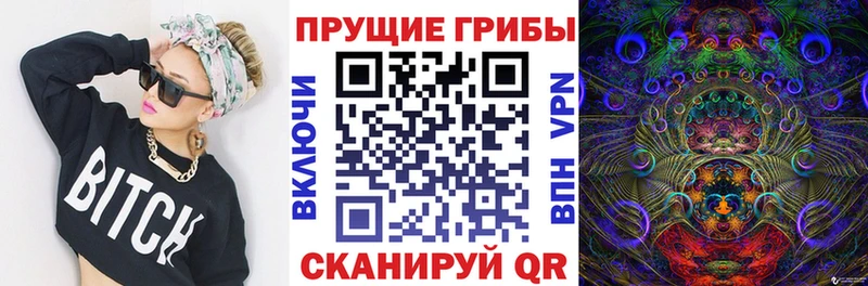 Галлюциногенные грибы Cubensis  Купить где  Луга 